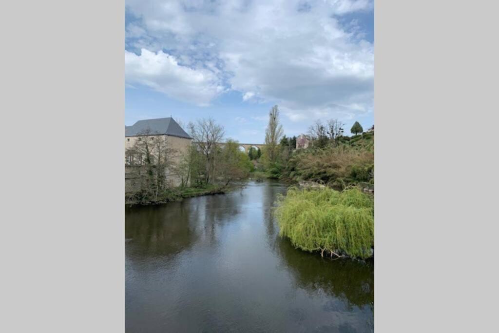 Long Meadow Gite France Asnieres-sur-Blour 외부 사진